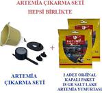 Artemia Çıkarma Seti Alana 2 Adet Artemia Yumurtası Hediye