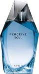 Avon Perceive Soul EDT 100 ml Erkek Parfüm