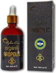 Ayhan Ercan Organik Propolis 100 Ml