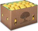 Babamın Bahçesi Limon Mayer 6 Kg