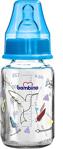 Bambino Cam Desenli Biberon 125 Ml. Pembe Fil