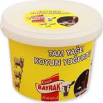 Bayrak Karapınar Koyun Yoğurdu Kova 3 Kg