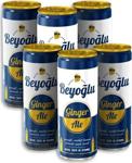 Beyoğlu Beyoğlu Ginger Ale Zencefil Misket Limonu Aromalı Gazlı İçecek 250 Ml X 6 Adet