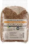 Beyorganik Organik Yeşil Mercimek (1 Kg)