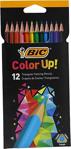 Bic Color Up Kuru Boya Kalemi 12\'li Kutu