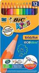 Bic Kids Evolution Metal Kutu 12 Renk Kuru Boya