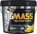 Bigjoy Bigmass Gainer + Gh Factors Muz 3000 Gram Arjinin Ornithin Tribulus Kreatin