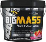 Bigjoy Bigmass Gh Factors 1200 Gr Çilek Aromalı