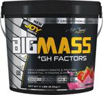 Bigjoy Bigmass Gh Factors 5000 Gr Çilek Aromalı