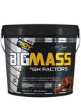 BigJoy Bigmass GH Factors 5000 gr Karbonhidrat Tozu