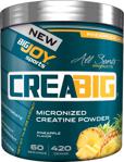 Bigjoy Creabig Micronized Creatine Powder 420 Gr