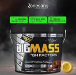 Bigjoy Sports Big Mass Gainer Gh Factors 3000 Gr Bigmass Karbonhidrat Tozu Çilek