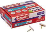 Bigpoint Renkli Raptiye Beyaz 10\'lu Kutu