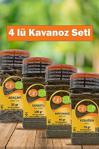 Binot Baharat Maydanoz - Dereotu - Ada Çayı - Fesleğen Kavanoz Seti - 70 Gr