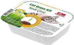 Bio Pet Active Grass Kit Naturel Kedi Çimi