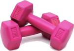 Blackfit 1 Kg 2 Adet Pembe Renk Dambıl