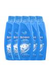 BLENDAX KEPEĞE KARŞI ETKİLİ ŞAMPUAN 550 ML x5