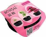 Bonsai Erguvan Ekim Kiti