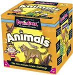 BrainBox Hayvanlar Animals İngilizce