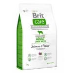 Brit Care Adult Large Tahılsız Somonlu Büyük Irk 3 kg Yetişkin Köpek Maması