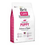 Brit Care Puppy Tahılsız Somonlu ve Patatesli 3 kg Küçük ve Orta Irk Yavru Köpek Maması