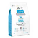 Brit Care Tahılsız Junior Large Somonlu Patatesli 3 kg Büyük Irk Yavru Köpek Maması