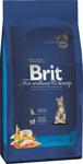 Brit Premium Kitten Tavuk Etli 8 kg Yavru Kuru Kedi Maması