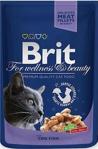 Brit Premium Morina Balıklı Pouch 100 gr Yetişkin Kedi Konservesi