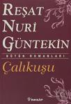 Çalıkuşu - Reşat Nuri Güntekin