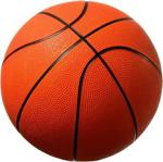 Can Sports Basketbol Topu