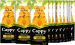 Cappy 200 ml 27'li Paket Kayısı Nektarı