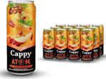 Cappy Atom Ballı Karışık Mevye Nektarı 330 Ml 12 Adet