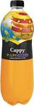 Cappy Meyve Tanem 330 Ml Meyve Nektarı