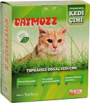 Catmozz Organik Büyük Boy Topraksız Yavru Ve Yetişkin Kediler İçin Kedi Çimi Seti