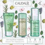 Caudalie Vinopure Yağlı Ve Düzensiz Ciltler Için Serum Bakım Seti