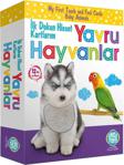 Circle Toys İlk Dokun Hisset Tanı Kartlarım Yavru Hayvanlar