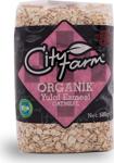 City Farm Organik Yulaf Ezmesi 5 Gr