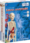 Clementoni İlk Keşiflerim İnsan Anatomisi 64297