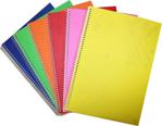 Color Liva A5 Pp Kapak Spiralli Defter 6'Lı 72 Yaprak Çizgisiz