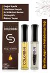 Colorinn Kaş Kirpik Bakım Yağı 10 Ml + 10 Ml - Argan Yağlı & Doğal E Vitaminli