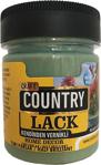 Craft Country Kedinden Vernikli Lack Hobi Boyası 120Cc 4040 Çağla Yeşili