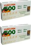 Curcumin 500 Herbal Food Altın Yoğurt Kürü 2'li Paket 6 gr x 10 Şase