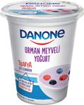 Danone 450 Gr Orman Meyveli Yoğurt