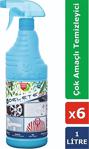 Delete Hijyen Maxx Çok Amaçlı Temizleyici Yağ&Kir&Leke 1 Litre 6'Lı Paket