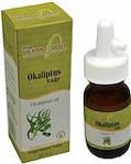 DERMOSOFT OKALİPTUS YAĞI 20 ML.