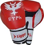 Diriliş Ertuğrul Iyi Göktürk Boks Eldiveni Kickboks Muaythai 10Oz