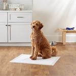 Doglife Ekonomik Kedi Köpek Çiş Pedi 60X60 240 Adet B Kalite