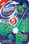 Domestos 5'Li Güç Çam Ferahlığı Wc Blok 55 Gr 1 Adet