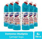 Domestos Okaliptus Ferahlığı 750 Ml 6'Lı Çamaşır Suyu