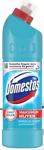 Domestos Okaliptus Ferahlığı 810 gr Çamaşır Suyu